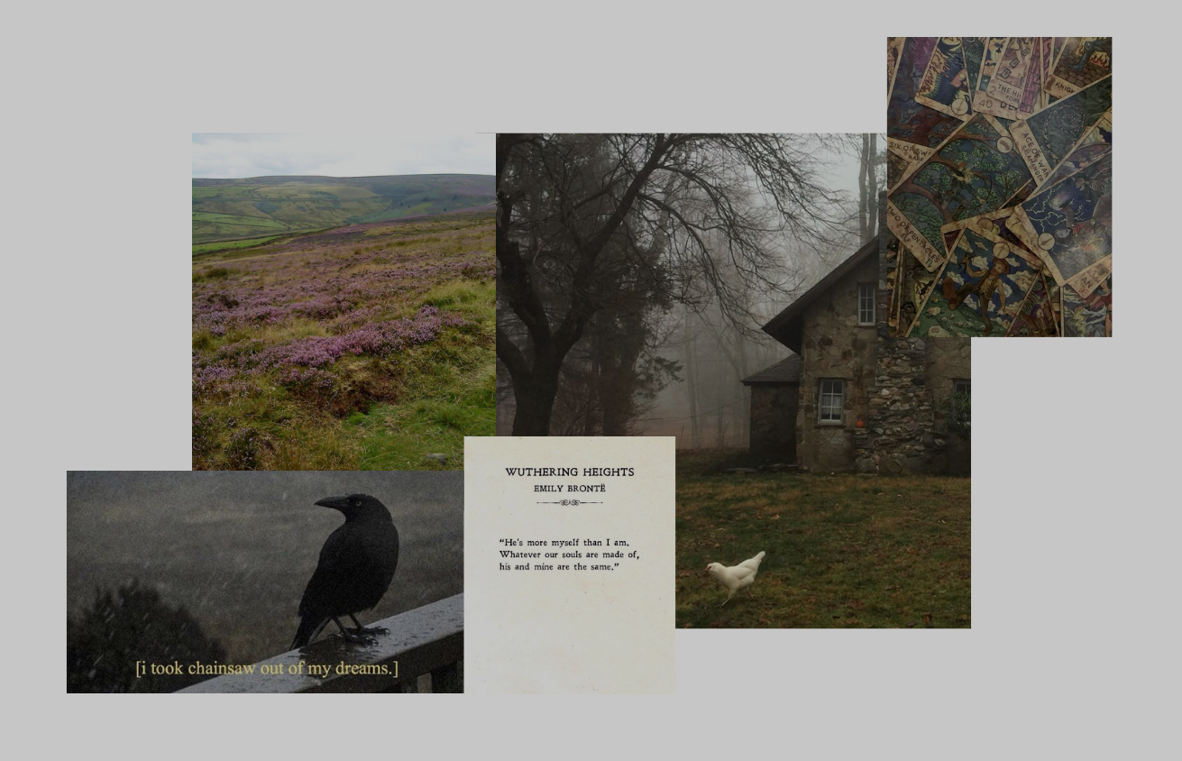 A collage abut my interests