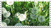 stamp :>)