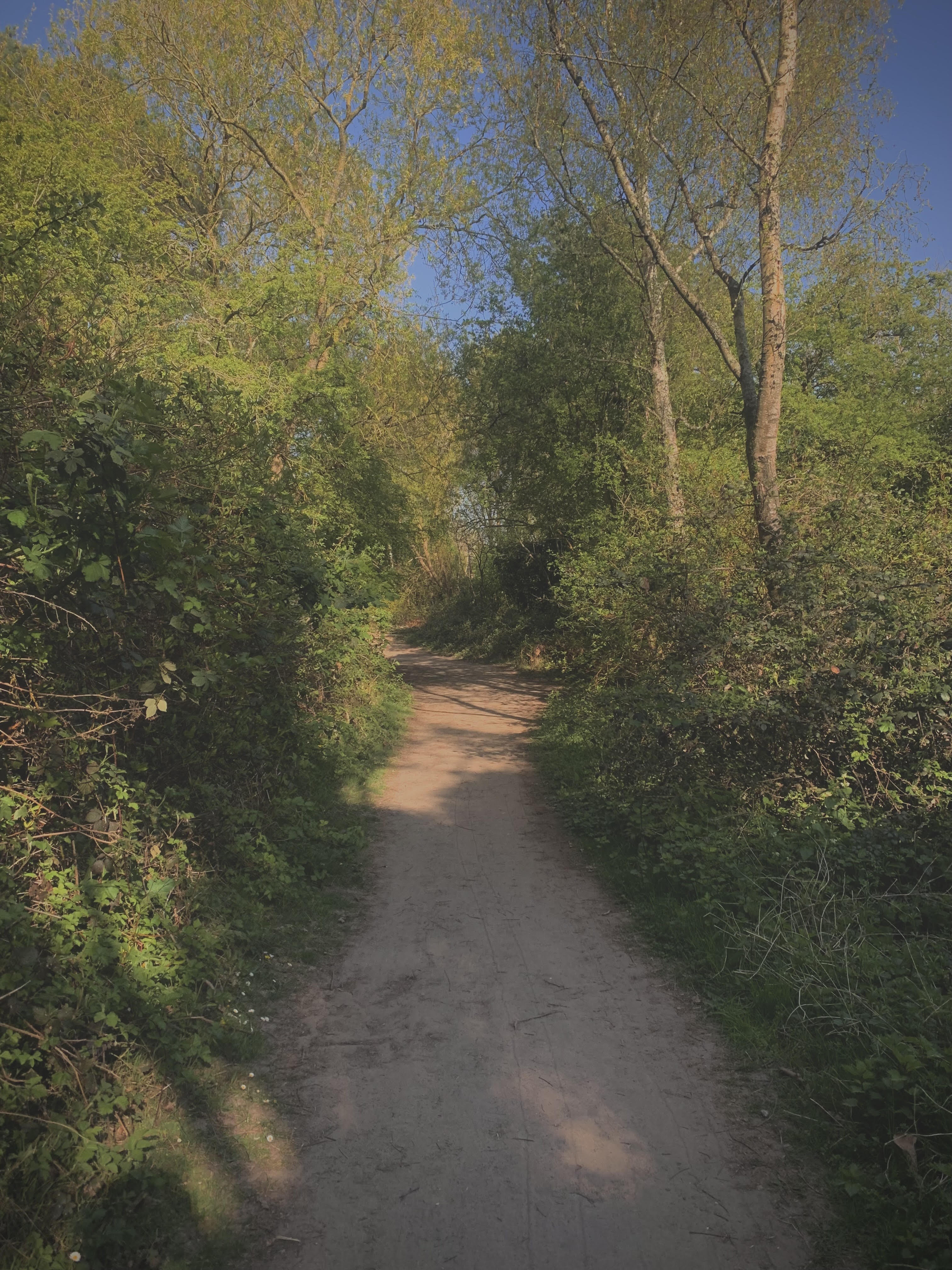 A photo from some wandering